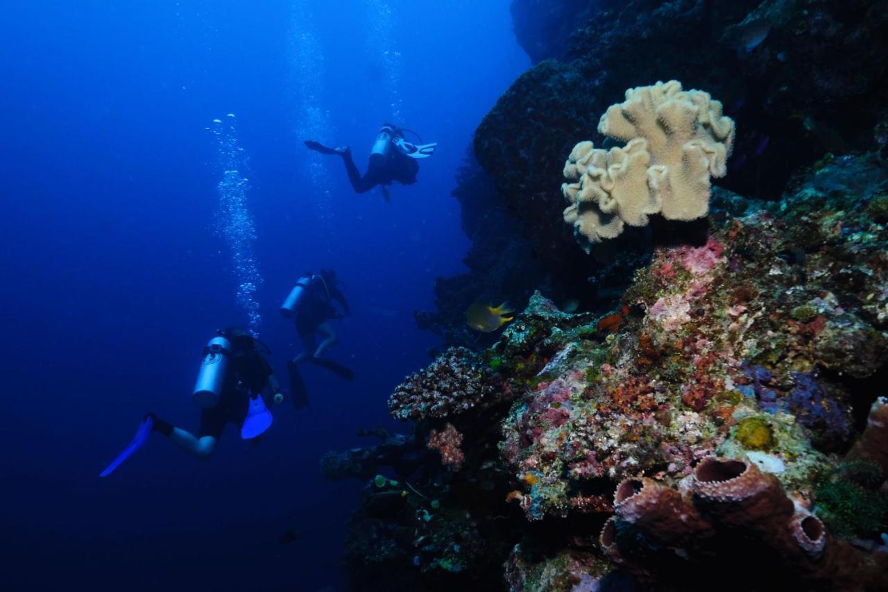 Sanctum Una Una Eco Dive Resort Pulau Unauna Екстер'єр фото