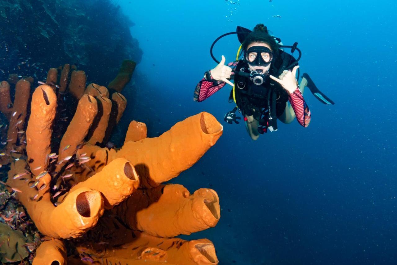 Sanctum Una Una Eco Dive Resort Pulau Unauna Екстер'єр фото