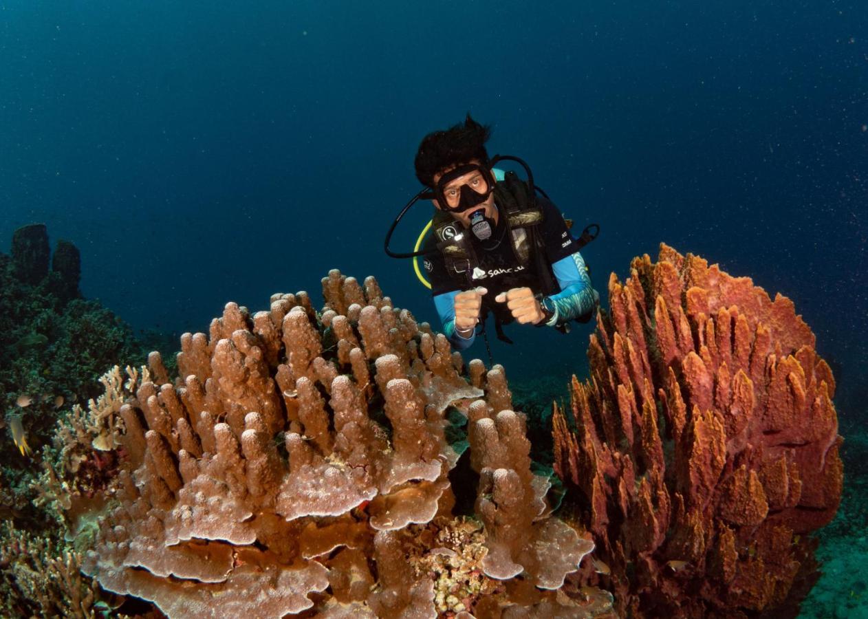 Sanctum Una Una Eco Dive Resort Pulau Unauna Екстер'єр фото