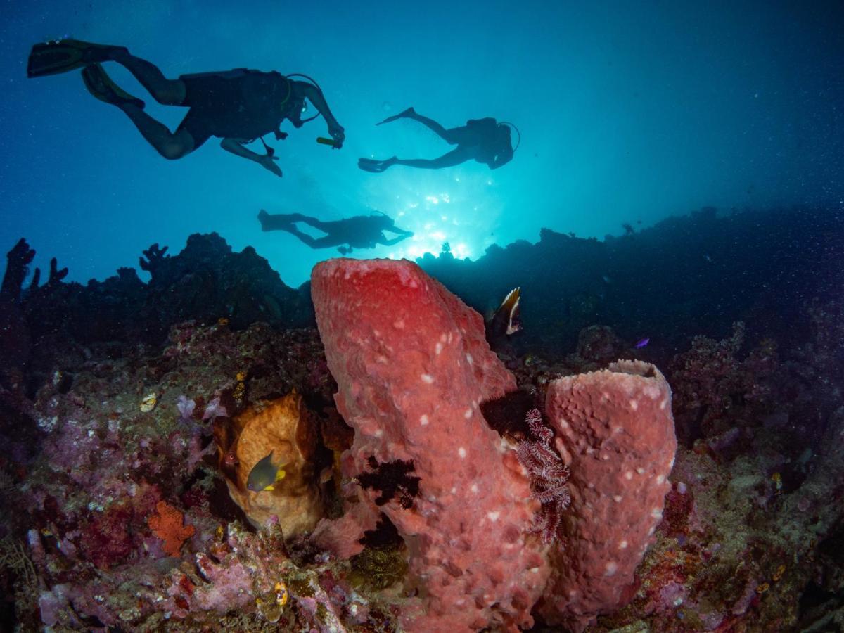 Sanctum Una Una Eco Dive Resort Pulau Unauna Екстер'єр фото