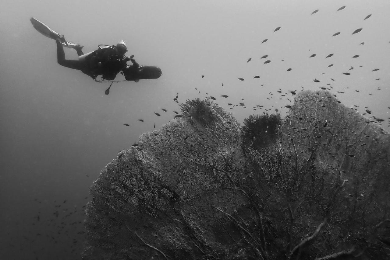 Sanctum Una Una Eco Dive Resort Pulau Unauna Екстер'єр фото