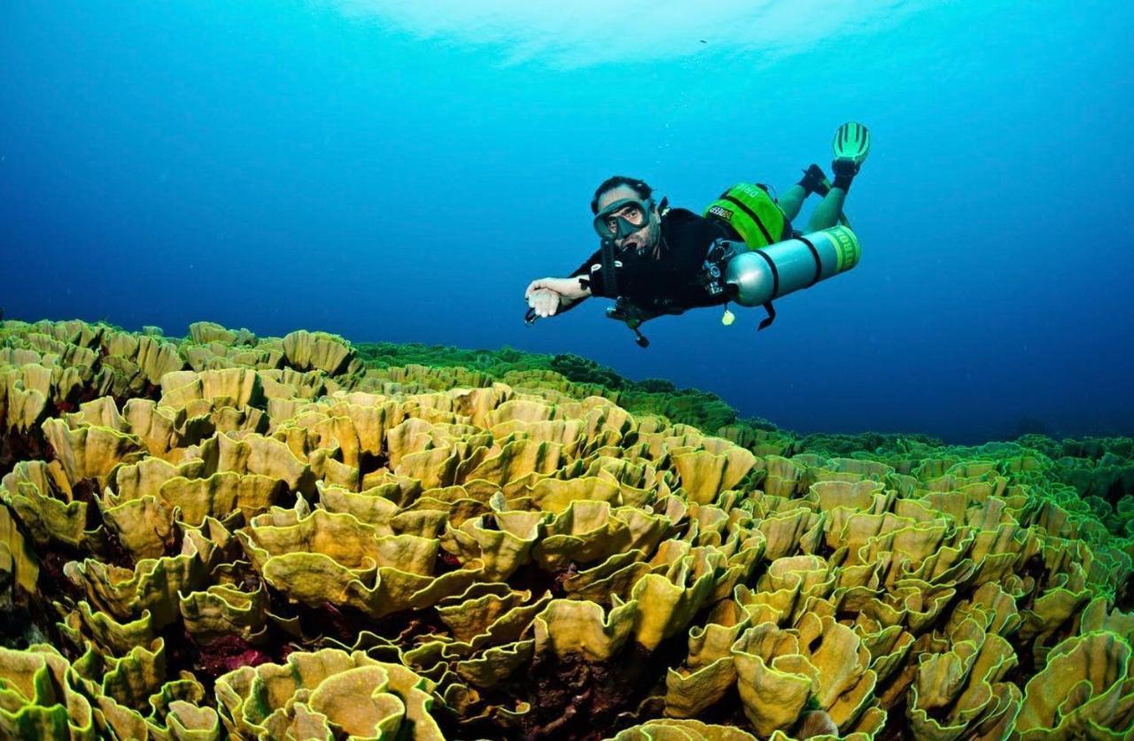Sanctum Una Una Eco Dive Resort Pulau Unauna Екстер'єр фото