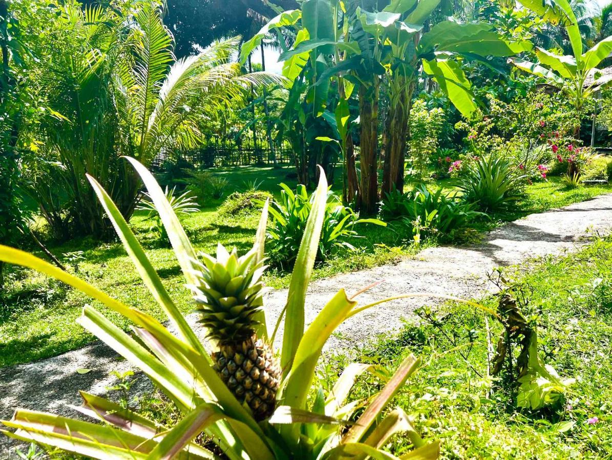 Sanctum Una Una Eco Dive Resort Pulau Unauna Екстер'єр фото