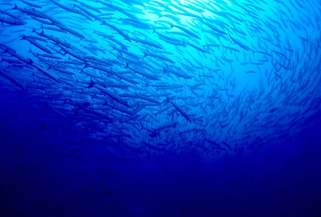 Sanctum Una Una Eco Dive Resort Pulau Unauna Екстер'єр фото