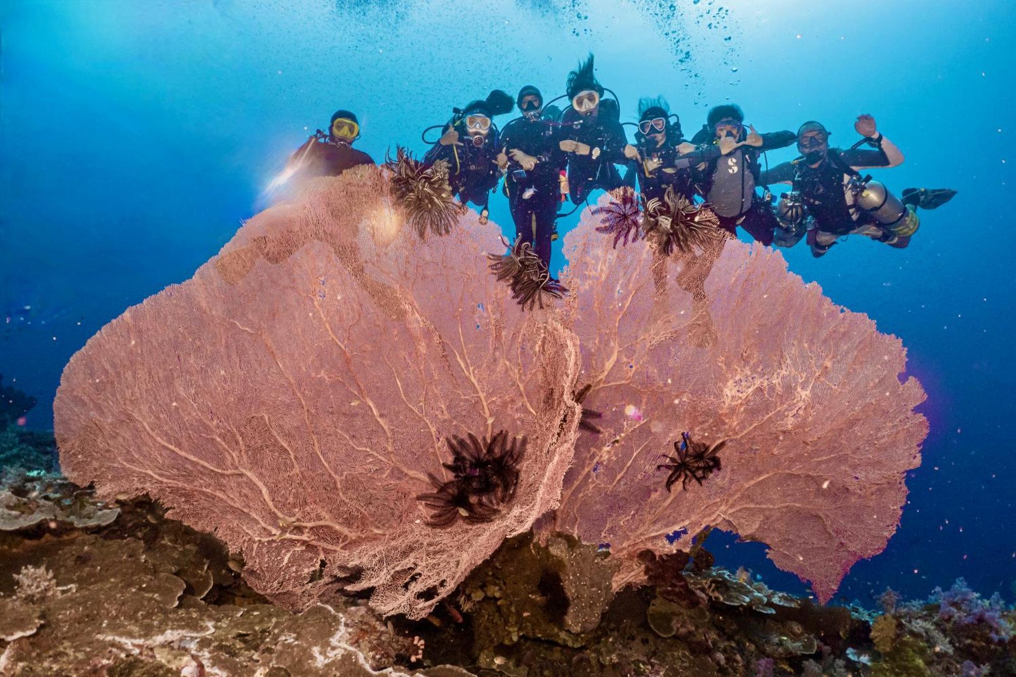 Sanctum Una Una Eco Dive Resort Pulau Unauna Екстер'єр фото