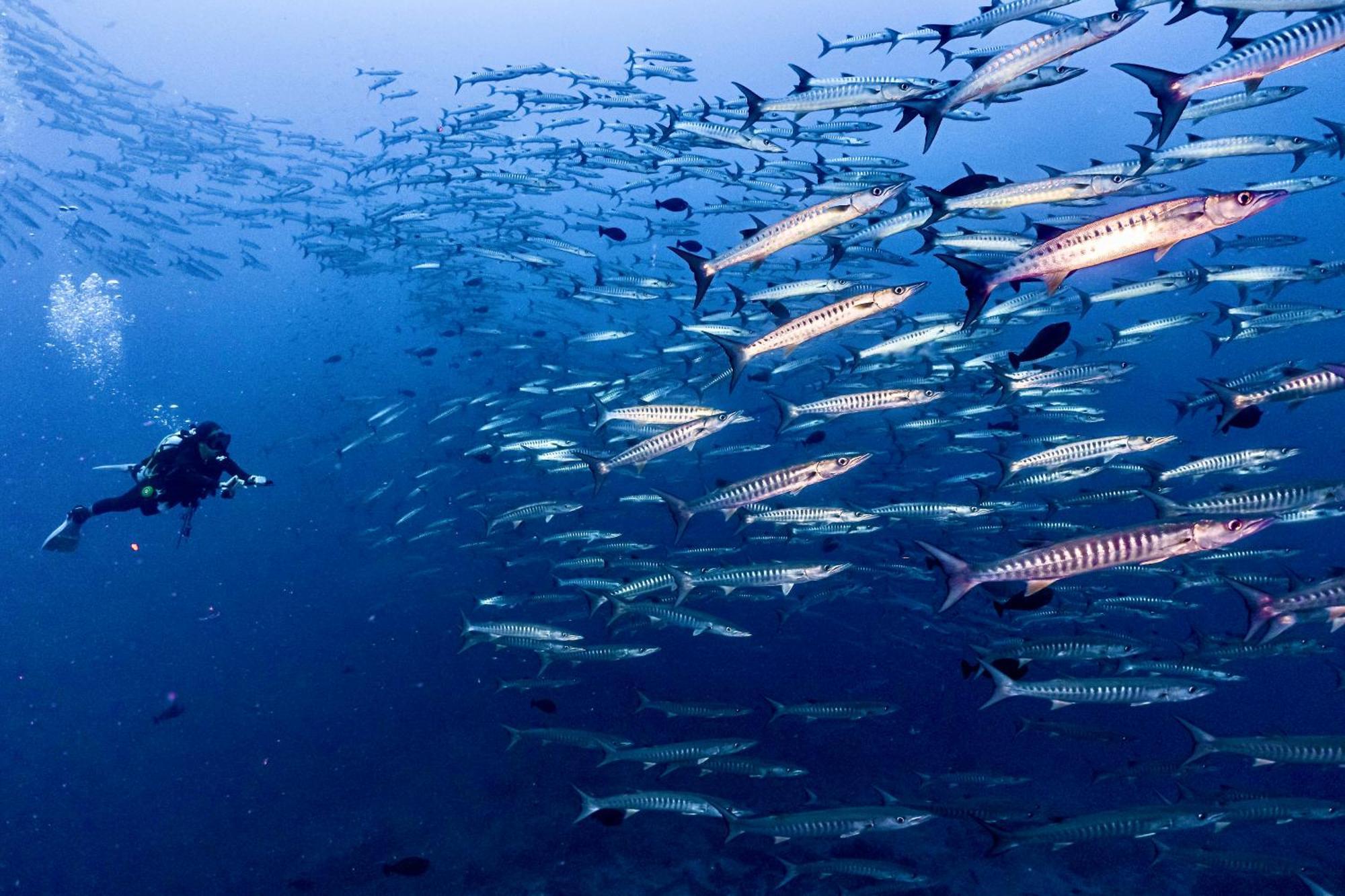 Sanctum Una Una Eco Dive Resort Pulau Unauna Екстер'єр фото